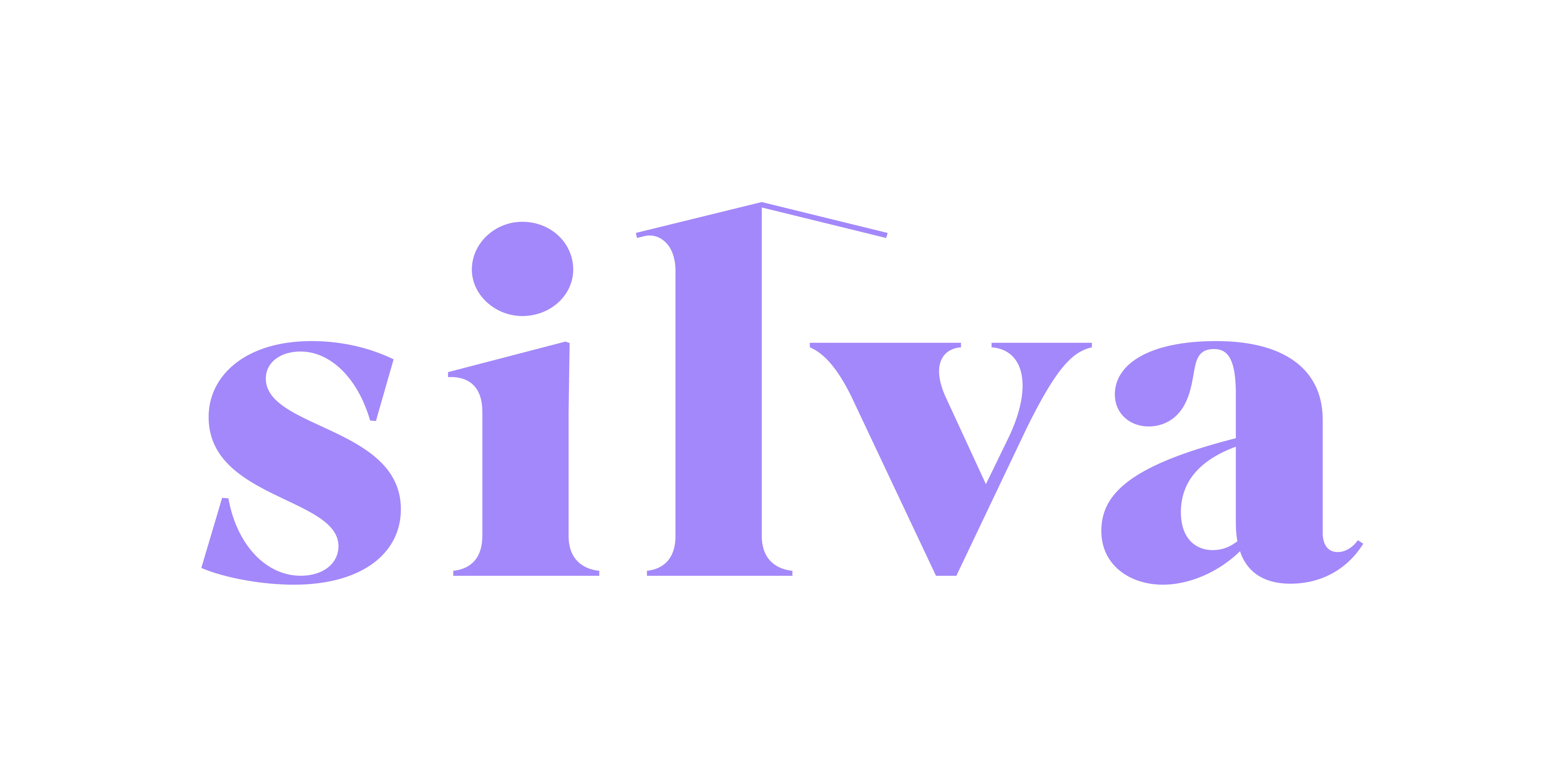 Silva Homes